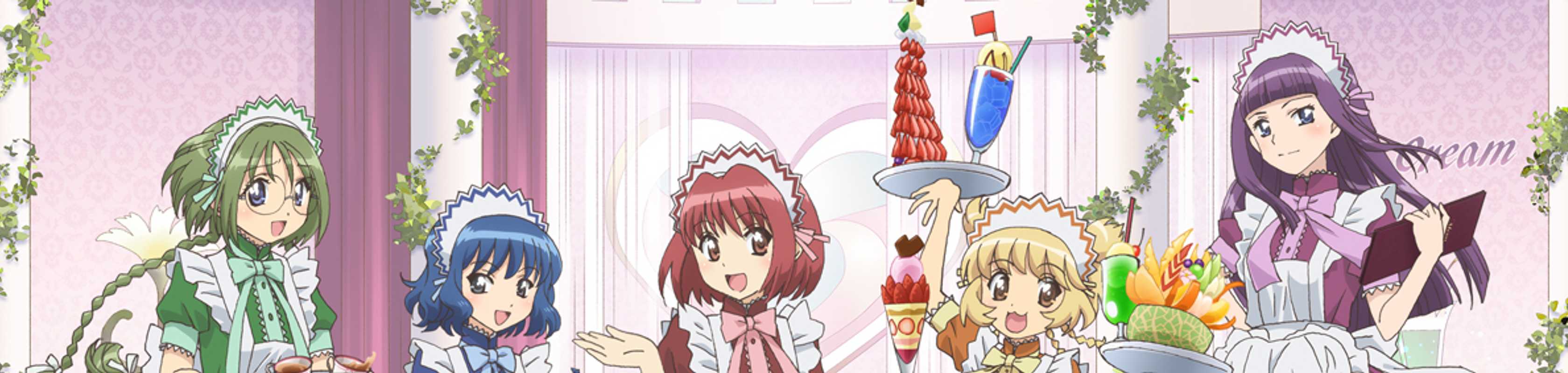 Tokyo Mew Mew New ♡ banner