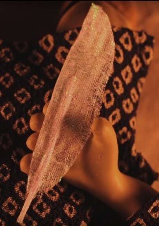 Feather robe from heaven