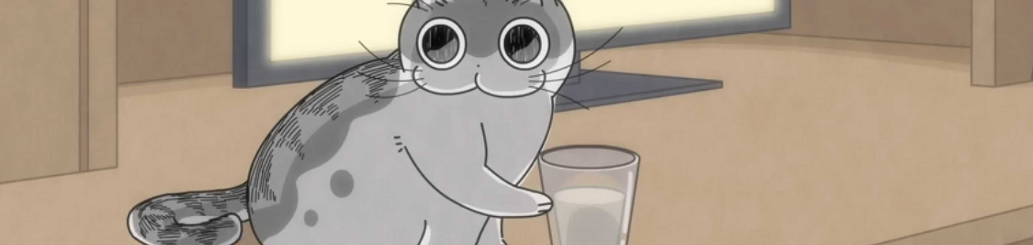 Nights With a Cat banner