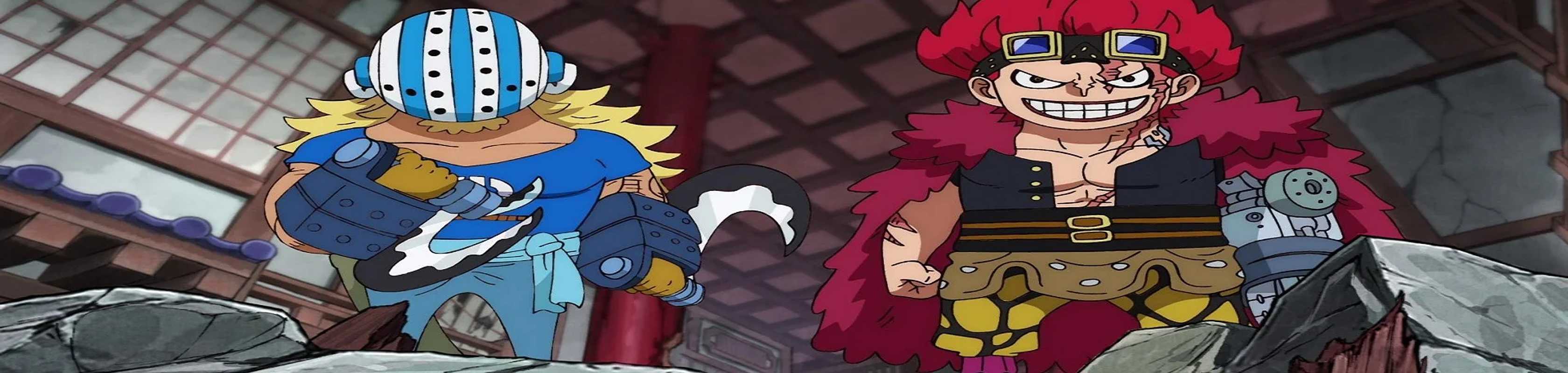 One Piece: A Comprehensive Anatomy! Fierce Fight! The Five from the New Generation banner