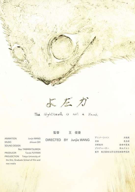 The Nighthawk Is Not a Hawk