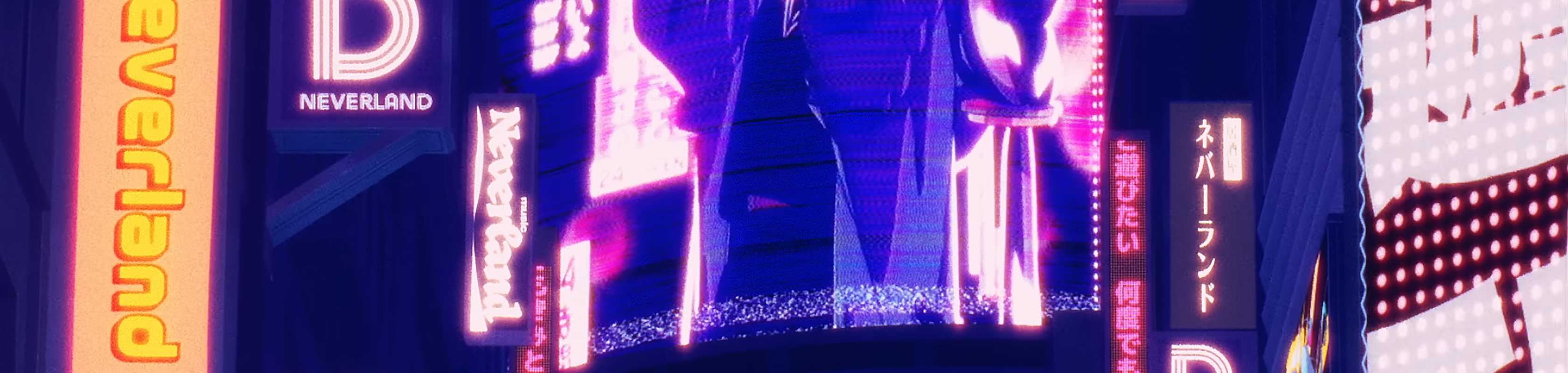 Neverland banner