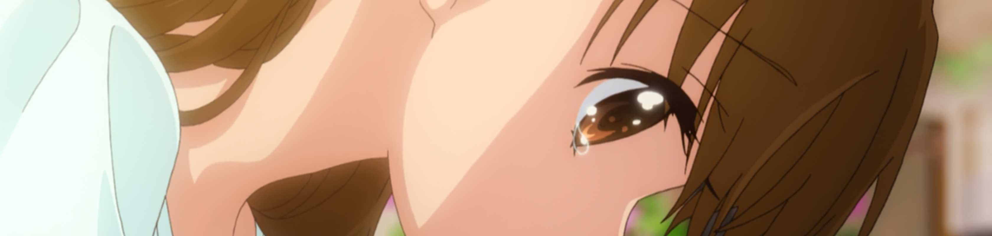 Tamayura: Sotsugyou Shashin Part 2 - Hibiki banner