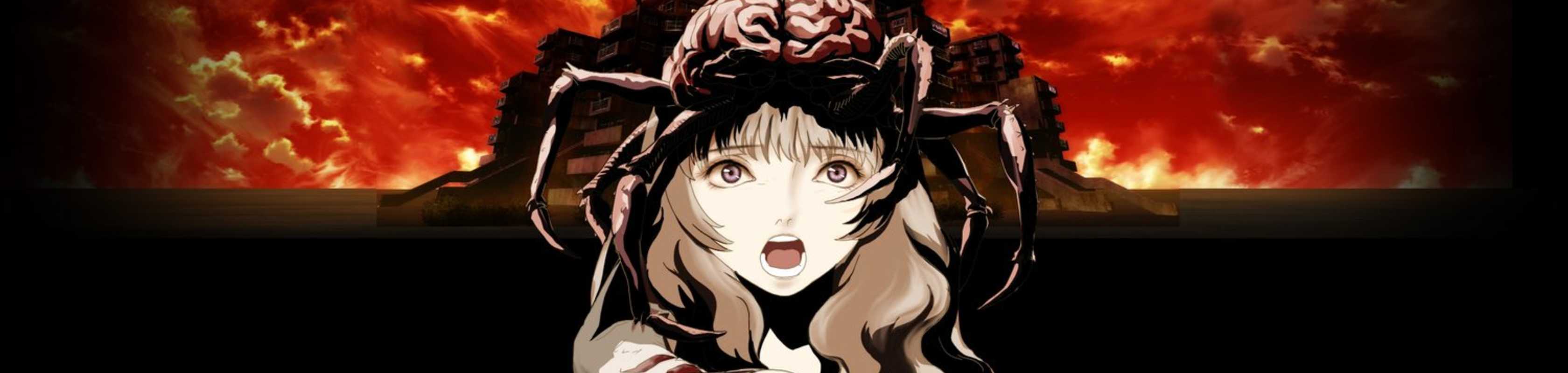 ARAGNE: Sign of Vermillion banner