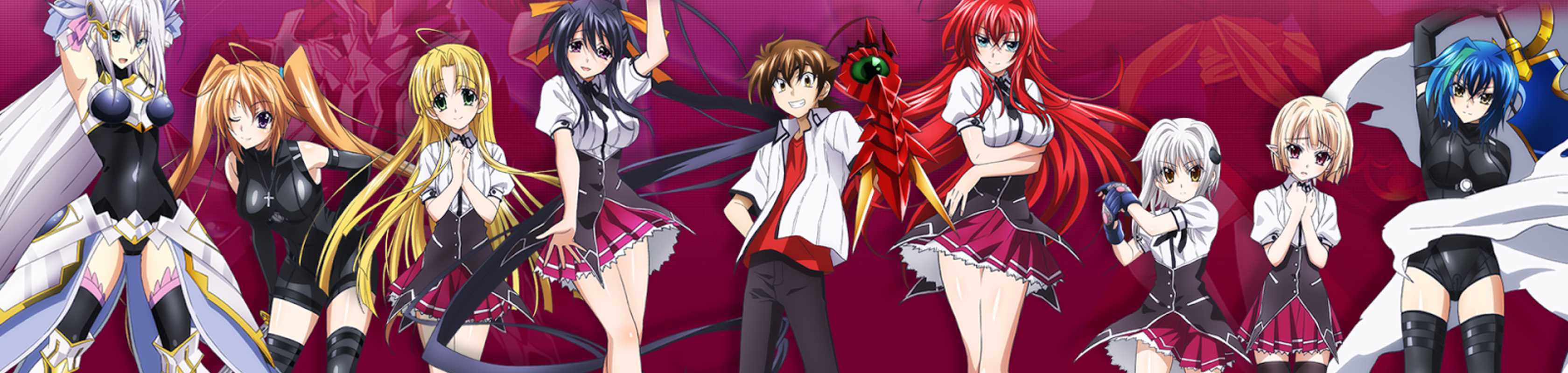 High School DxD BorN banner