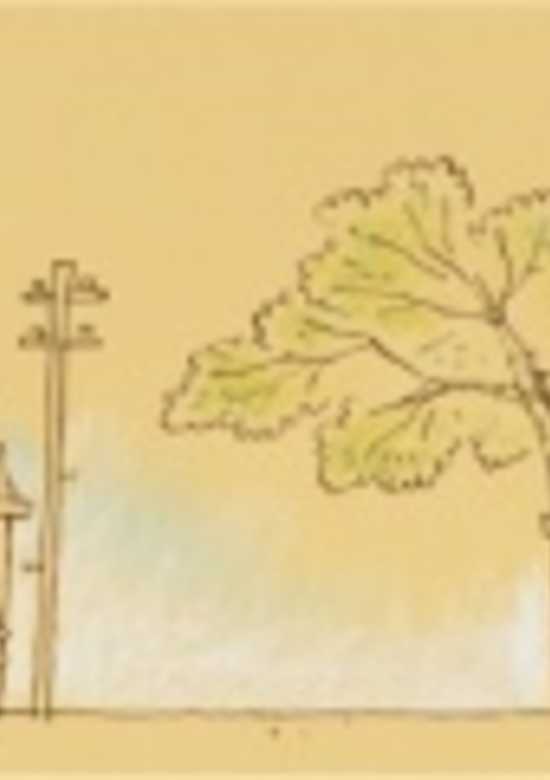 Hakimono to Kasa no Monogatari