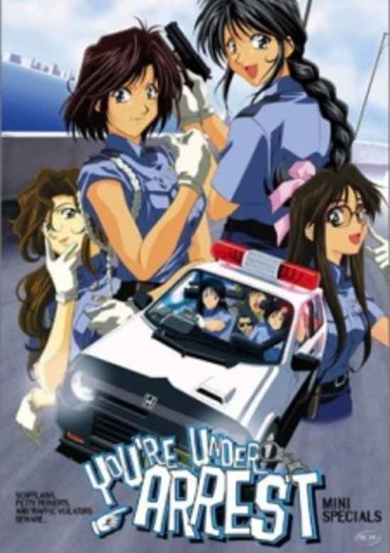 You're Under Arrest Mini Specials