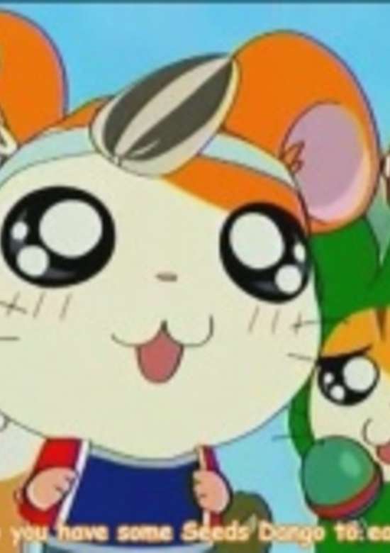 Hamtaro Hai!