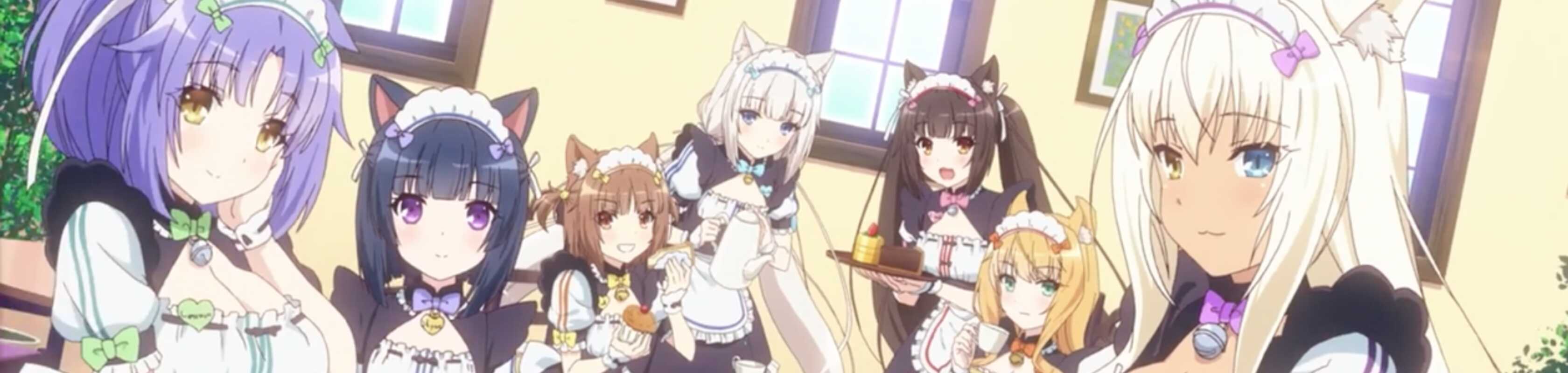 Nekopara (TV) banner