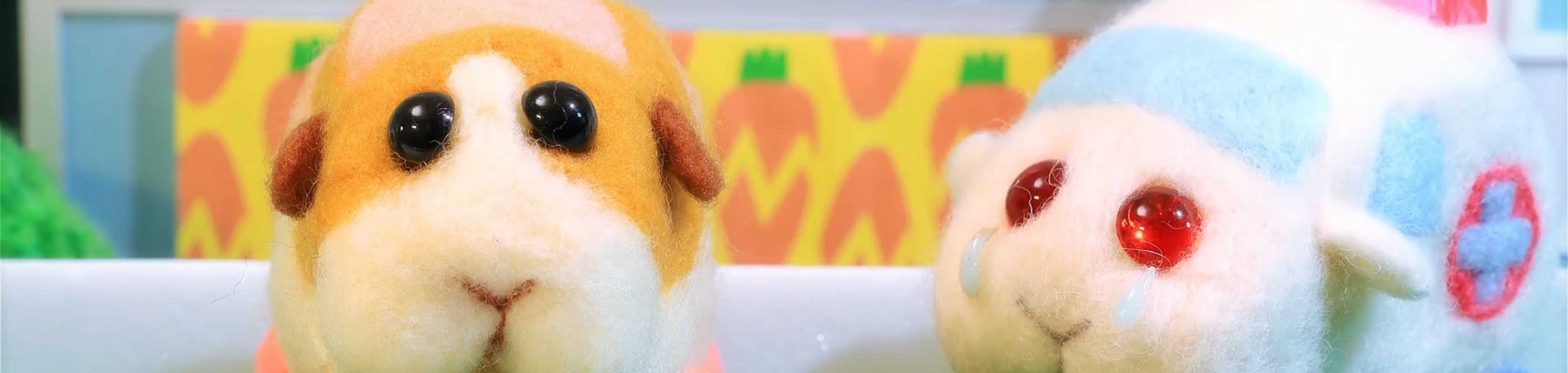 PUI PUI MOLCAR banner